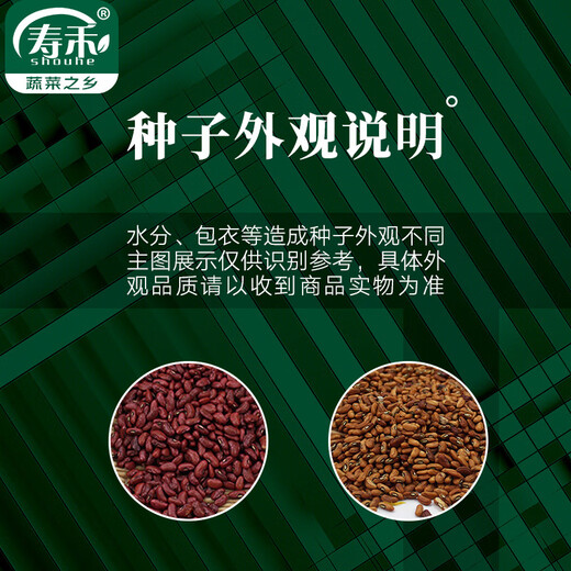 Shouhe croissant seed seedlings thin-skinned and crispy four-season fruit melon seeds Weifeng croissant seeds 30 pieces