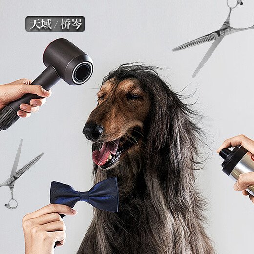 Tianyu pet scissors Tianyu natural scissors beautician special Teddy Bichon high-end straight scissors curved scissors fish bone tooth scissors DF-75 7.5-inch comprehensive straight scissors