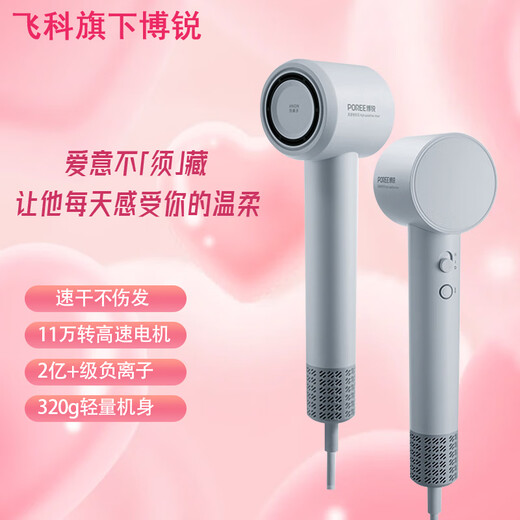 Feike Borui high-speed hair dryer household high-power hair dryer fast drying hair dryer negative ion hair dryer gift for family, girlfriend and girl, high-end gray 110,000 rpm high speed + 200 million negative ions