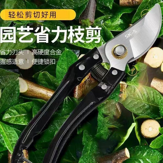 German craftsmanship imported steel branch shears, tree shears, fruit tree shears, pruning scissors for household flowers, trees and grapes to prune branches. Manufacturer provides welfare/loss impulse/not the main model. High carbon steel large shears. Extra sharp/100 times saving.
