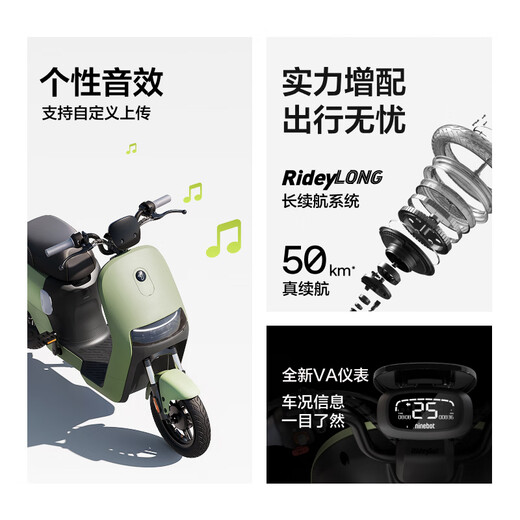 Ninebot Electric Bike A2z 40 True Range Smart Electric Bike Pickup in store Pick the color at the store