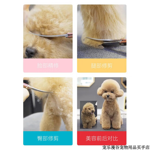 MADAN Pet Grooming Scissors Small Curved Scissors Straight Scissors Teeth Scissors Fish Bone Scissors Teddy Shearing Scissors Aluminum Alloy Gold 6.5 Straight Scissors