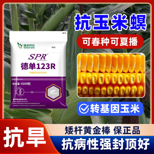 壮汉转基因高产玉米种子抗倒抗旱大棒抗虫矮杆封顶性好高净度苞谷种 转基因抗虫高产【3950粒】封顶好