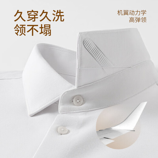 欧定头等舱冬暖暖绒高弹衬衫加厚保暖免烫高端衬衣 苍雪白 42