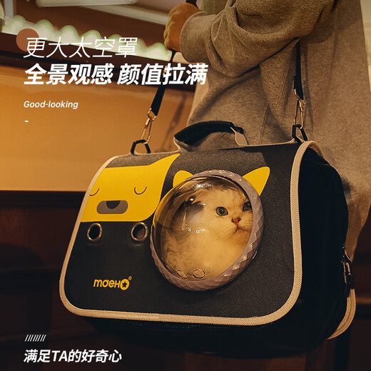 JCZS German brand pet bag cat backpack Teddy outing cat cage dog bag cat bag cat school bag portable breathable space bag-Hanhan Bear 40*27*27CM