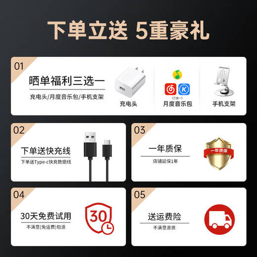 PVF 2025 new style | Berlin Voice Bluetooth headset ear clip type suitable for Sony bone conduction concept open sports running wireless call noise reduction does not enter the ear and hang the ear