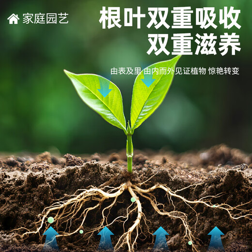 Lan Jingtian universal plant nutrient solution concentrated fertilizer balcony gardening money tree fruit vegetables green plants flowers household 500ml