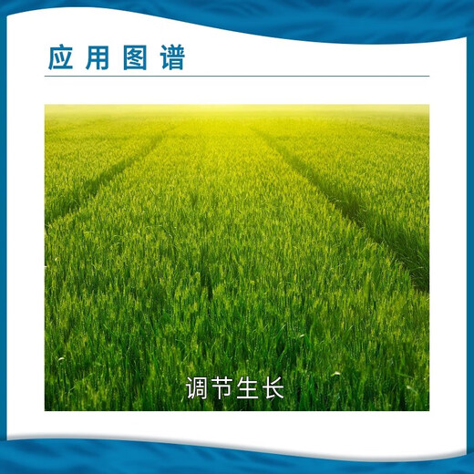 Penshide 28 high brassinolide plant growth regulator flower and fruit tree Yuntai lactone foliar fertilizer pesticide 500ml 2 bottles