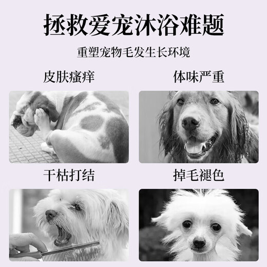 Hundeduschgel mit Frettchenduft, Haustierkatzenshampoo, Teddy Bichon, reinigendes und entwurmendes Anti-Juckreiz-Badegel für weißes Haar