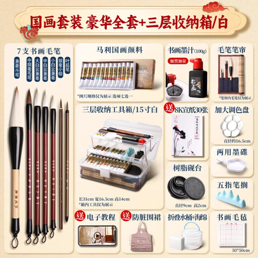 Marley Chinese Painting Pigments Beginner Set Tools Full Set of Ink Painting Materials for Primary School Students Meticulous Brushwork Chinese Painting Introductory Brush Deluxe Edition Pen Curtain + Ink Cartridge 12 Colors 5ml