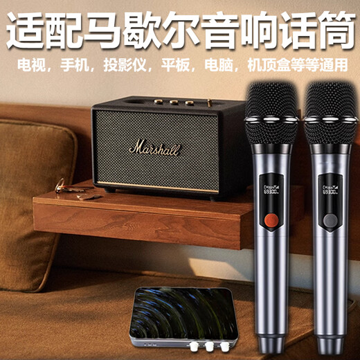 Projector TV karaoke wireless microphone home sound wall microphone with audio equipment set home KTV high-end version + 2 rechargeable microphones