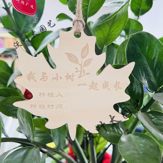 Yong Huan 10 pieces of custom-made wooden hanging tags for school Arbor Day tags, tree adoption tags, plant tags, name cards, 10 pieces of tree planting tags