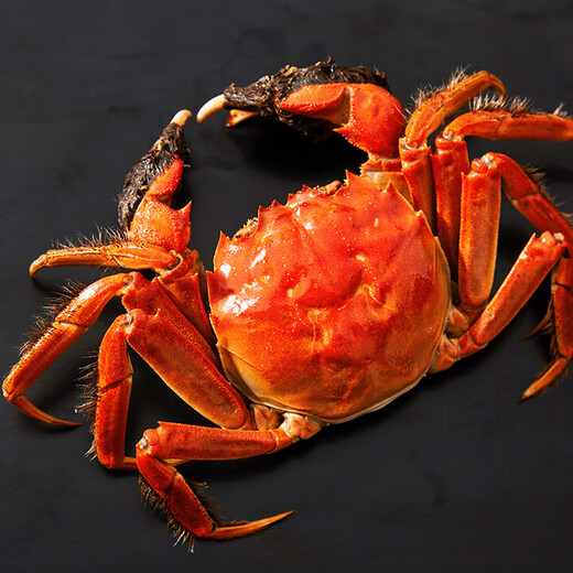 Live crab Jinshang hairy crab fresh crab gift box male 4.2-4.5 two female 3.0-3.3 two 4 pairs 8 pieces exquisite gift box gift without rope full weight