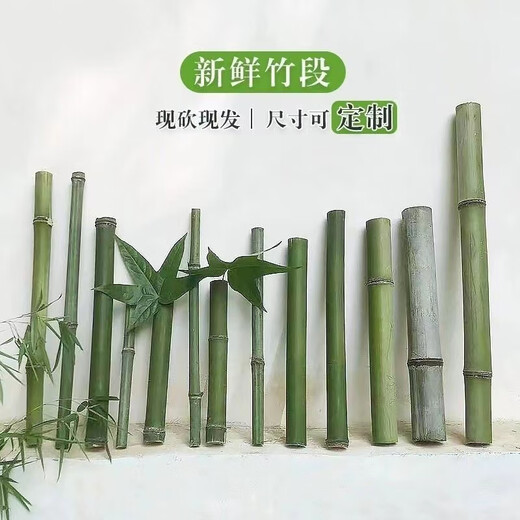 Bamboo tube, fresh bamboo tube, natural bamboo pole, small bamboo wedding table decoration, green bamboo floral decoration, short size, outer diameter 1-2cm, height 20cm (5 pieces in total)