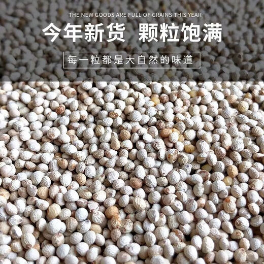 New white perilla large grain perilla seed bird food canary hibiscus bird oriole pearl white swallow jade bird food parrot bird food 250g white perilla seed