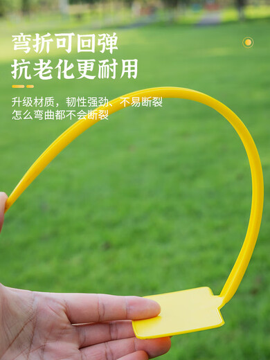 Bevel large ground sign gardening label gardening sign plant sign sign sign 30 bevel mixed color 100 sheets of five colors 20 each