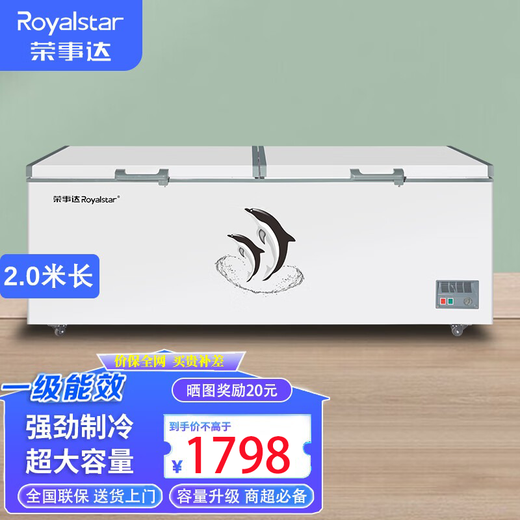 荣事达688商用家用卧式大冷柜大容量 冷藏冷冻转换冰柜商用小型单温冰箱全冷冻柜 一级能效 【2.0米长 818双门冰柜】一级能效