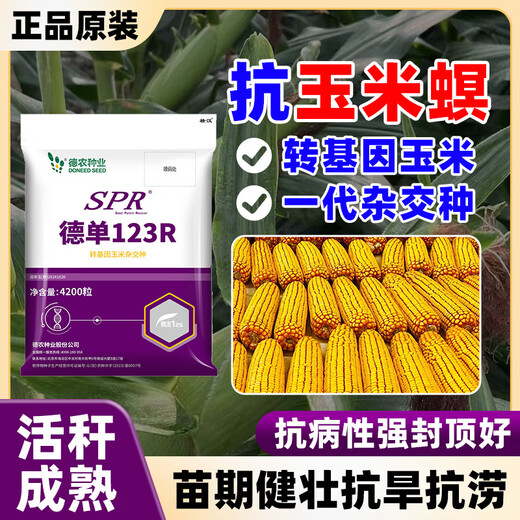 壮汉转基因高产玉米种子抗倒抗旱大棒抗虫矮杆封顶性好高净度苞谷种 转基因抗虫高产【3950粒】封顶好