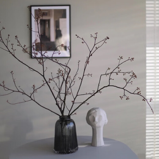 YWZR Dengtai Montaña Retorno Planta Flores Secas Ramas Secas Flores Preservadas Estilo Chino Dormitorio Natural Decoración De La Sala Wabi-sabi Fotografía De Viento Color Original Estilo Corto 25 Cm