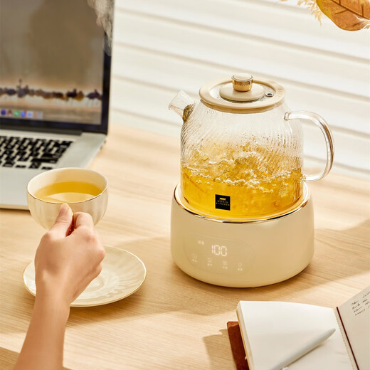 World KitchenAmerican Corning Health Pot Full Glass Constant Temperature Kettle Tea Kettle Tea Maker 1L Office Flower Tea Kettle Kettle Electric Kettle (Standard Model + Full Glass Cover) EK1001