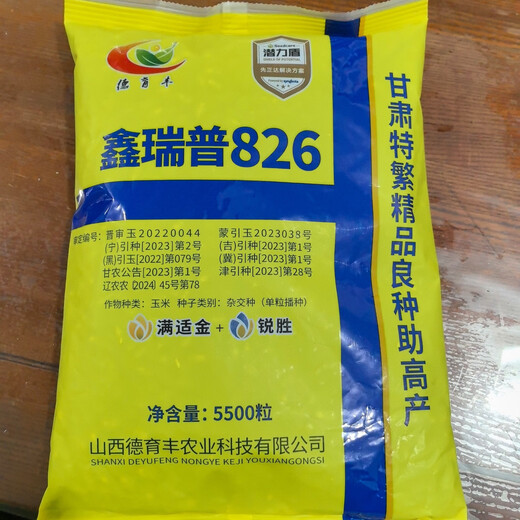 Семена кукурузы Xinruipu 826 устойчивые к болезням, полеганию и засухе