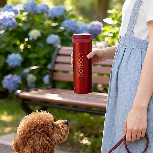 LOCK&LOCK stainless steel slim portable thermos cup tea cup car business cup LHC560 (300ml) red