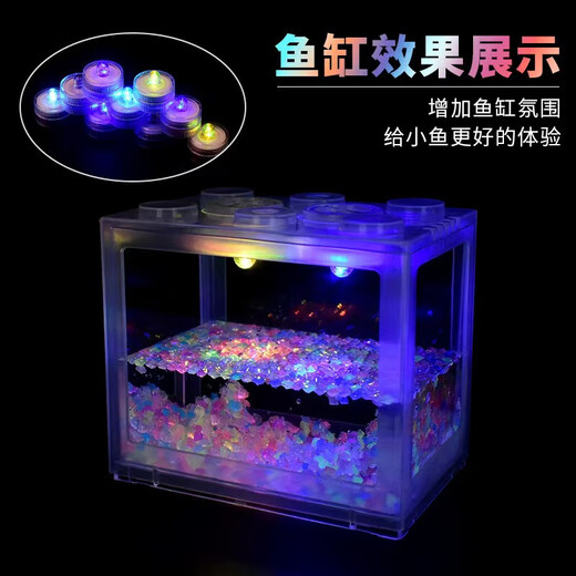 Trendy lifestyle appliances colorful lantern fish tank, fish tank + 1 lantern (comes with colorful stones and aquatic plants)