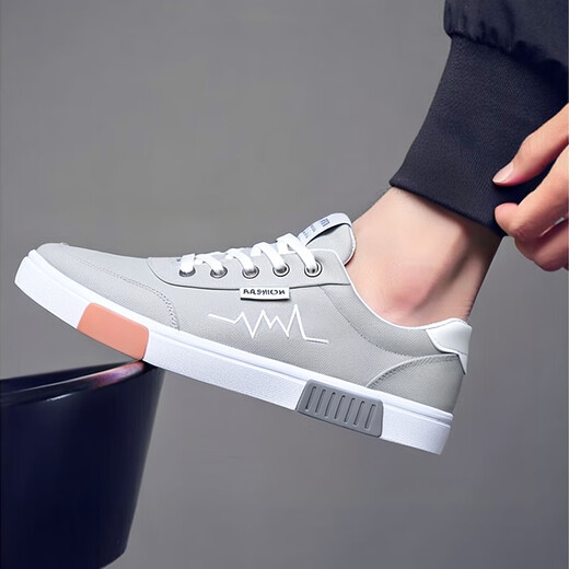 SNGUNY高端轻奢品牌休闲鞋男新款老北京布鞋男春秋季透气板鞋男鞋子男 帆布鞋6636黑白 41 255