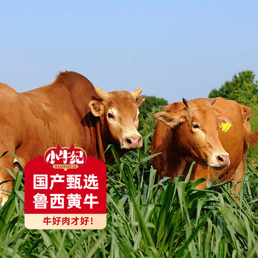 Mavericks Original Cut Yellow Fat Beef Ribs Net Weight 4Jin Jin is equal to 0.5kg Ribs Stewed BBQ Beef Straight from the Source