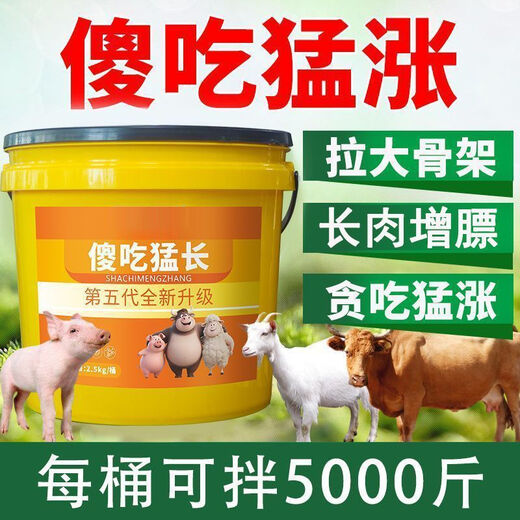 Ubet animal uses pigs to eat stupidly and grow fast. Fat pigs use red skin and bright hair to be released early. Feed additives are appetizers and are released early. The 5th generation enhanced model fattening and gaining weight. Pigs are eating stupidly and growing fast. 3 large barrels. Millions of farmers are using it.