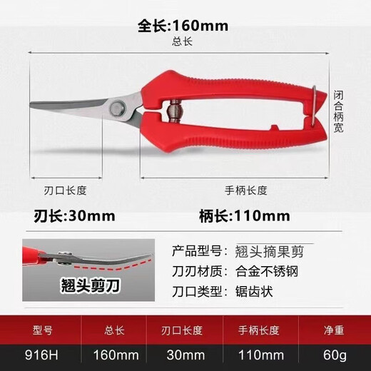 German quality stainless steel large tilted head fruit picking scissors for tomatoes, navel oranges, picking scissors for oranges and grapes 1 pair with serrated teeth for sharper short tilted heads