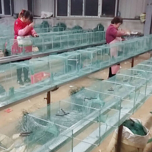 Shrimp pot fishing net fish net lobster net thickened fishing pot fish pot shrimp net river shrimp net eel loach lobster net large frame 7.5 meters 17 sections 12 holes full set of belt pendants