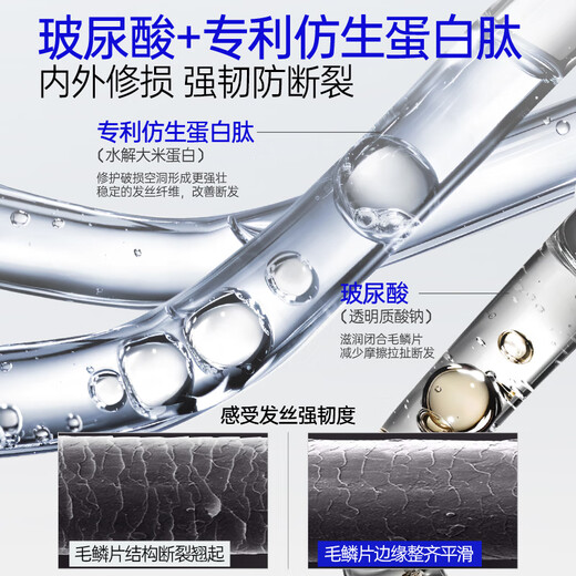 EHD Strong and Rich Fragrance Shampoo 330g Oil Control Fluffy and Smooth Clean Scalp Jasmine Cedar Fragrance Shampoo