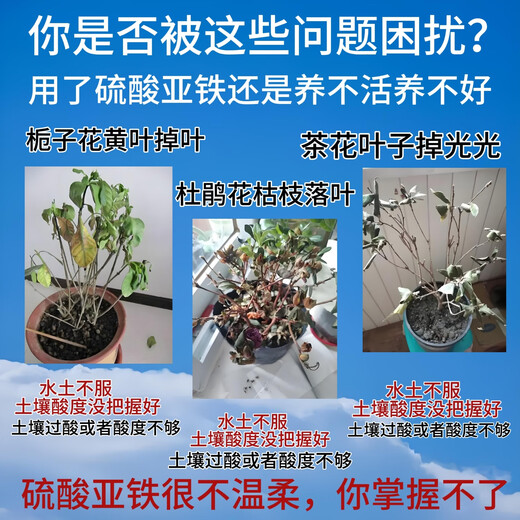 5 Jin Jin is equal to 0.5 kg Nitrogen Fertilizer Ammonium Sulfate Fertilizer Field Powder 5 Jin Jin is equal to 0.5 kg Flower Fertilizer Compound Fertilizer Water Soluble Fertilizer Foliar Fertilizer Vegetable Gardening Agricultural Use Large Enterprises Nitrogen Fertilizer Ammonium Sulfate Fertilizer 860g Garden Fertilizer