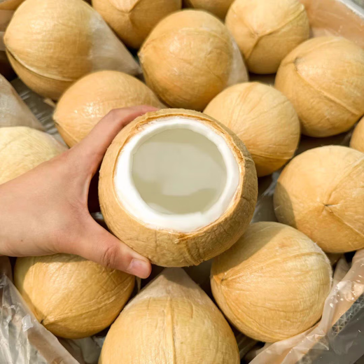 Imported from Thailand, milky coconut king Dannen Saduo perfumed coconut chicken soup old coconut fresh fruit JD.com Thai coconut king recommended 4 packs large fruit 400-500g