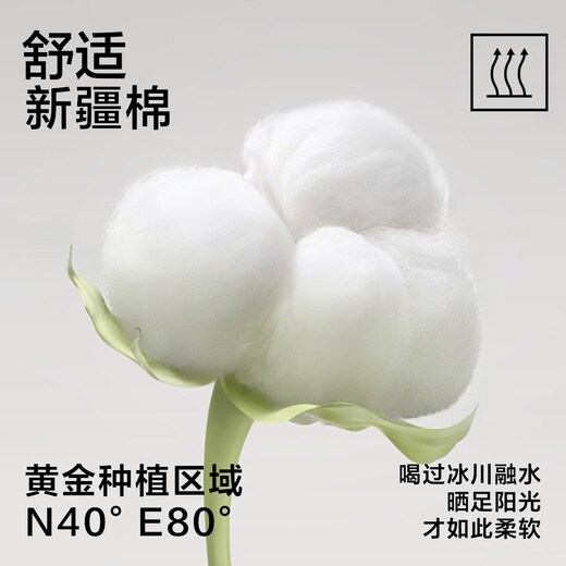 Youkeshu 5 Paar Männer Socken für Männer im Sommer Xinjiang Cotton 10A -Grad Antibakterielles und geruchsicheres Herbst Herren lässige, vielseitige, vielseitige Short Socken