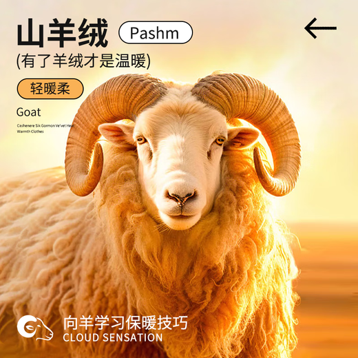 Yu Zhaolin 2-piece seamless thermal vest for men with cashmere slim waistcoat sleeveless large size men's underwear bottoming shirt