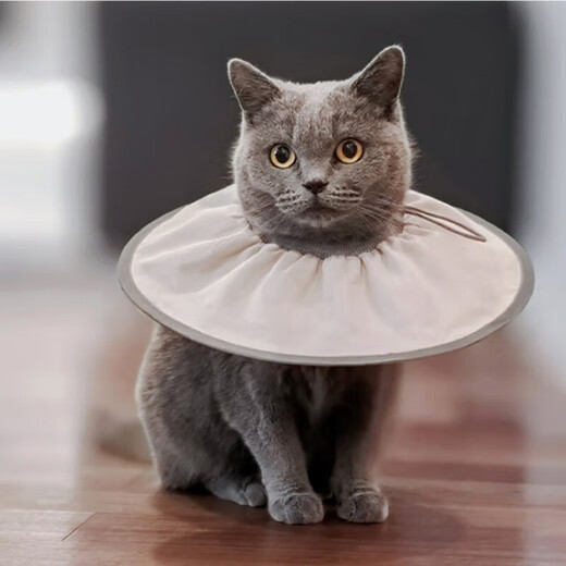 Cat Elizabeth collar soft collar super soft and comfortable pet anti-licking cat and dog universal sterilization collar anti-licking headgear Coco milk M (suitable for 5-10 Jin Jin equals 0.5 kg)