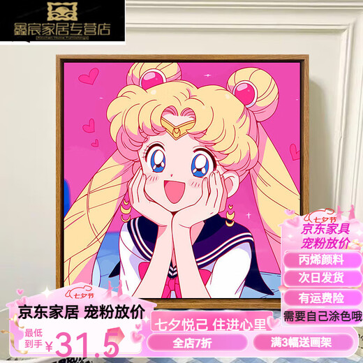 Naiqu süßer Cartoon Sailor Moon Digitales Ölmalerei DIY Kinder handbemalte Acrylölmalerei Schlafzimmer Hängende Malerei