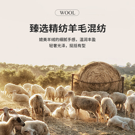 Antonio high-count worsted wool two-piece suit, men's light luxury twill slim-fit suit suit, Western men's business formal suit, gray 46 A (170/88A)