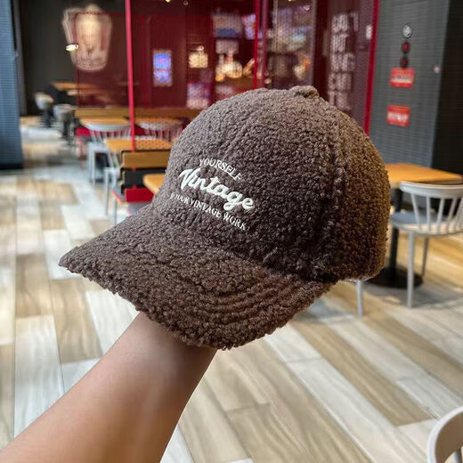 Yinqi Starling Lamb Wool Baseball Cap Women's 2025 New Autumn and Winter Fashionable Warm Thick Peaked Cap Showing Face Small Plush Hat Brown One Size