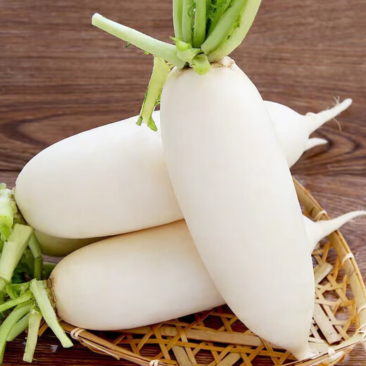 White radish, fresh in season, freshly dug, crispy, sweet and juicy, farm-grown and eaten raw, crispy, sweet and refreshing. White radish 5Jin Jin is equal to 0.5kg.