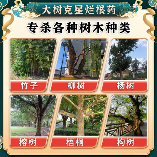 Killing tripod is specially designed to remove rotten roots of big trees that are in the way of obstructive trees. It is a powerful and effective fertilizer for removing rotten roots of large trees quietly and quietly. Buy three and get two free. 80% of customers choose it.