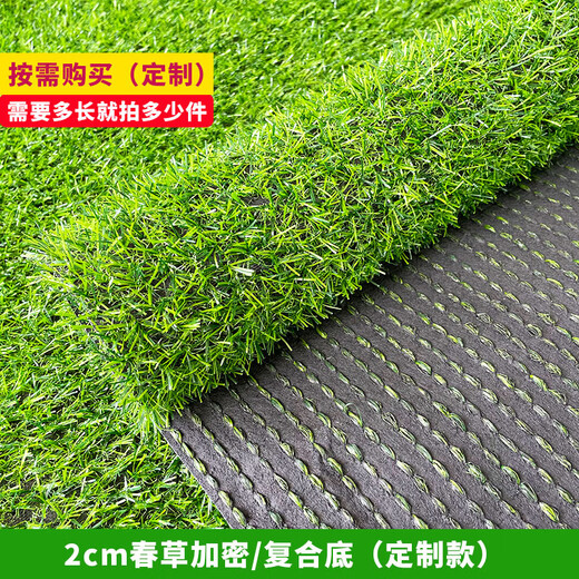 Liangxiang Simulated Lawn Carpet Plastic Artificial Green Fake Turf Kindergarten Balcony Outdoor Padding Courtyard Engineering Fence 3mx1m Spring Grass 2cm Encrypted Style