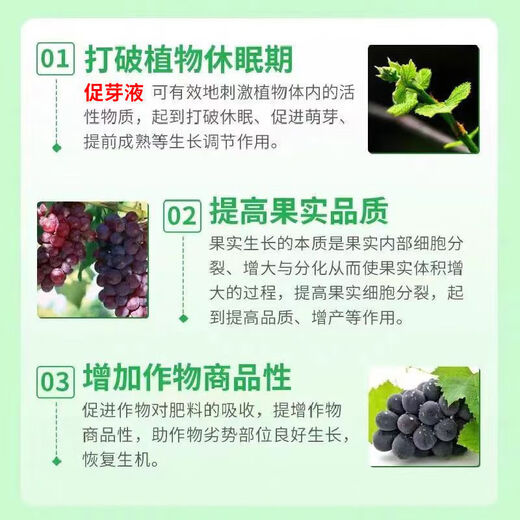 Taihui Li Cuiyang 50% monocyanamide ammonia grape peach and kiwi fruit tree bud-breaking sleep-inducing agent monohydroammonium growth regulator 250ml*1 bottle Production date September 25 Shelf life 2 years