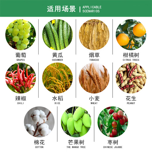 Longdeng Aizumi Propionyl Brassinolide Wheat Flower Fruit and Vegetable Growth Promoting Pesticide Plant Growth Regulator 500ml