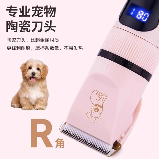 WCZ German dog shaver, pet electric clipper, Teddy cat shaving, dog hair clipper, hair trimmer, cat trimmer (low noise, safe and no hair jam) value set - Tuhao Gold