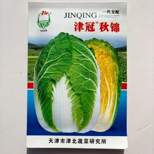 Jinguanqiujin yellow-heart Chinese cabbage seeds, high-yielding and bolting-resistant, South Korean spring and autumn agricultural field planting vegetable seeds, Jinbei Jinguanqiujin Chinese cabbage 50g