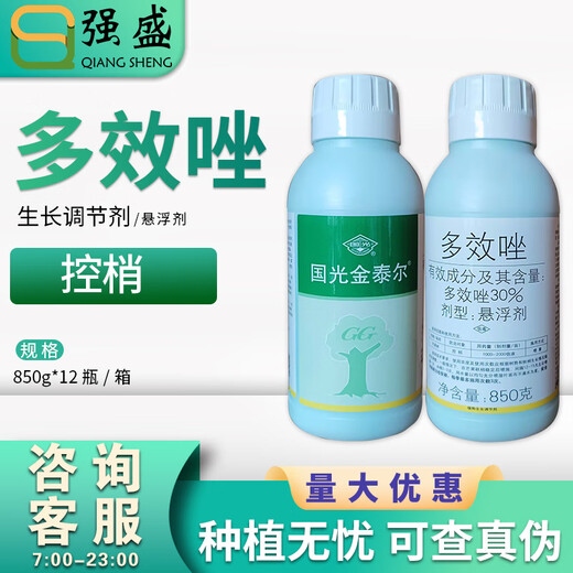 Guoguang Jintail 30% paclobutrazol mango tree shoot yield control growth retardant growth regulator 850g