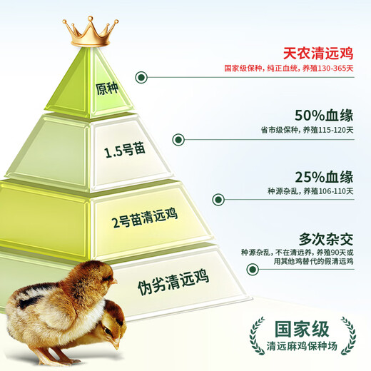 Tiannong purebred Qingyuan chicken whole chicken 2Jin Jin is equal to 0.5kg mountain range Qingyuan native chicken free-range chicken frozen Hong Kong quality